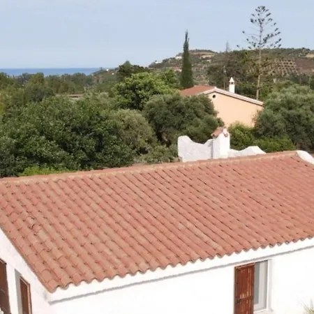 Dammar * Тертения