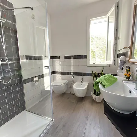 Dammar Тертения