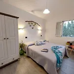 Dammar Casa de Férias *