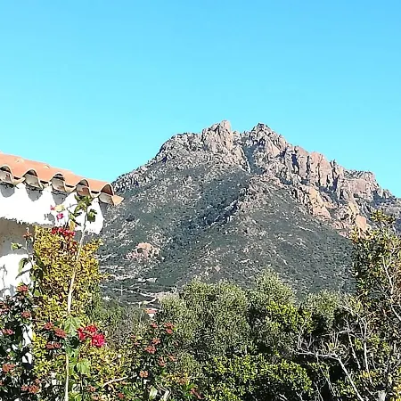 Dammar Hébergement de vacances